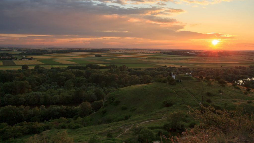 Образование в Словакии