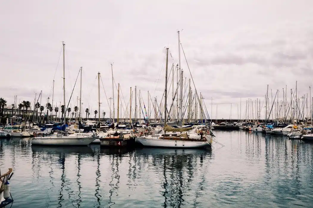 иммиграция в Испанию через образование