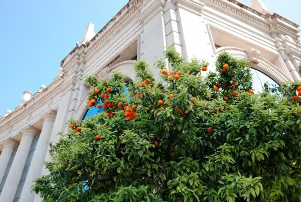 как искать работу в Испании после магистратуры